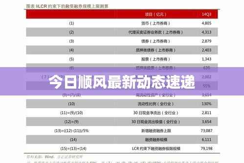 今日顺风最新动态速递