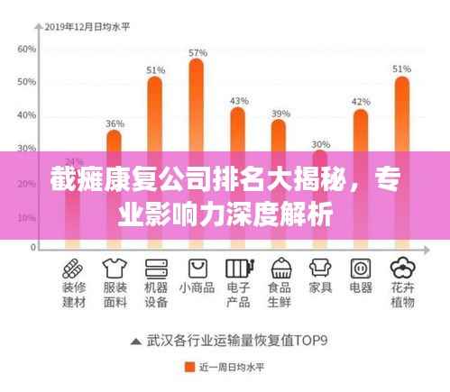 截瘫康复公司排名大揭秘，专业影响力深度解析