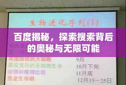 百度揭秘，探索搜索背后的奥秘与无限可能