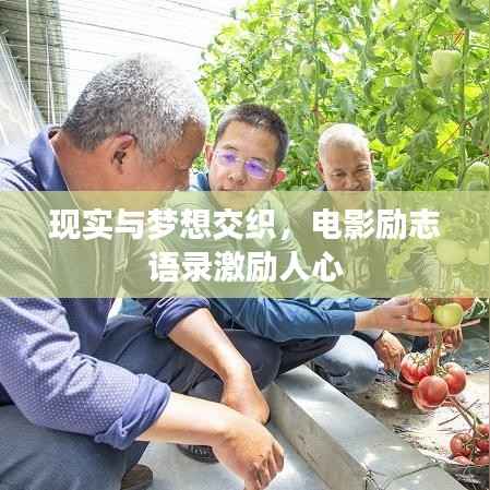 现实与梦想交织,电影励志语录激励人心