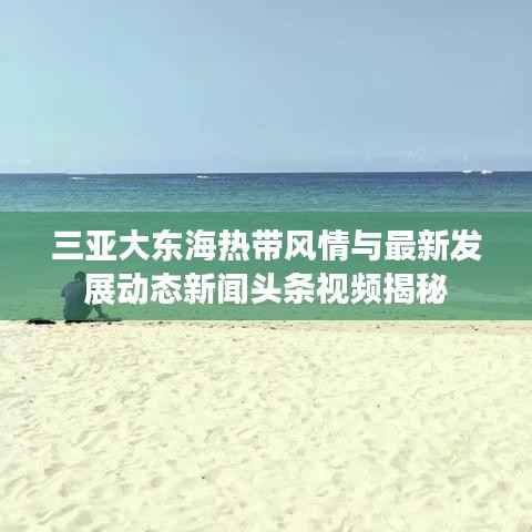 三亚大东海热带风情与最新发展动态新闻头条视频揭秘