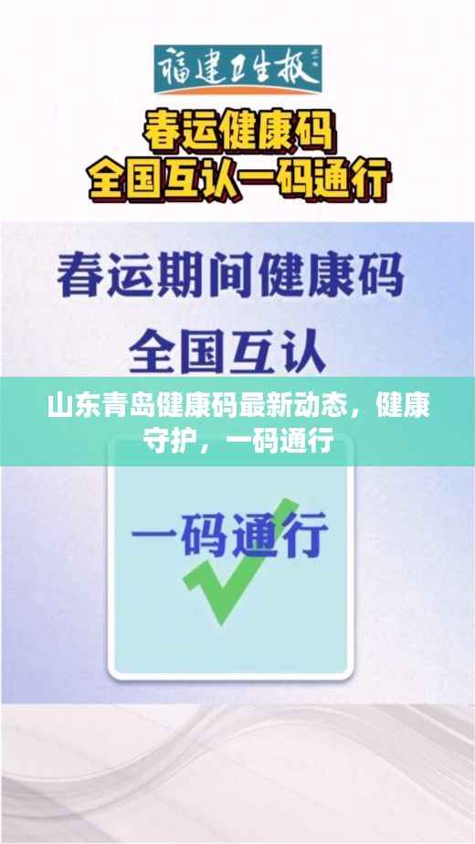 山东青岛健康码最新动态,健康守护,一码通行
