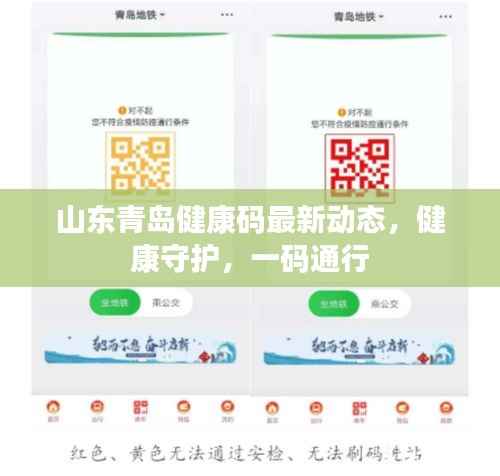 山东青岛健康码最新动态,健康守护,一码通行