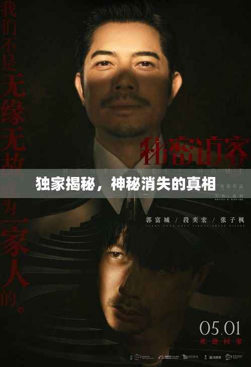 独家揭秘，神秘消失的真相