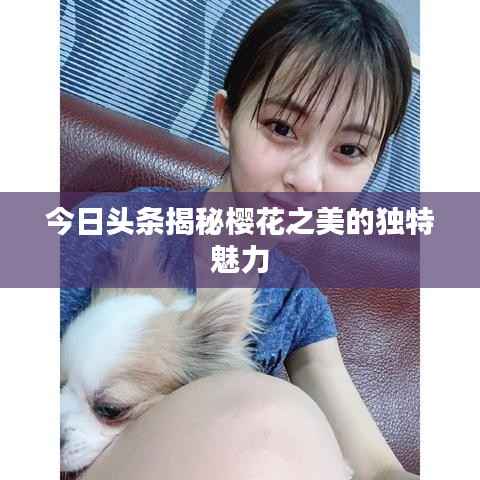 今日头条揭秘樱花之美的独特魅力