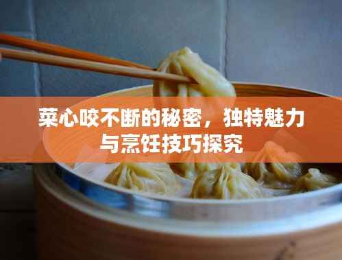 菜心咬不断的秘密,独特魅力与烹饪技巧探究