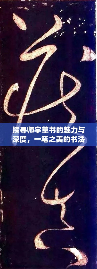 探寻师字草书的魅力与深度，一笔之美的书法艺术赏析