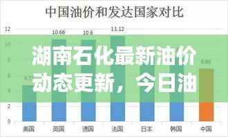 湖南石化最新油价动态更新,今日油价走势分析