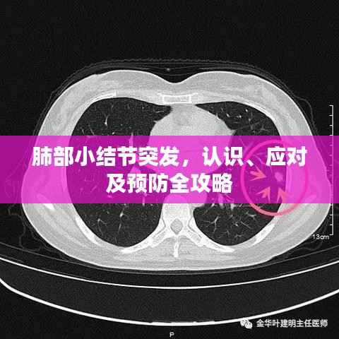 蛾眉曼睩 第4页