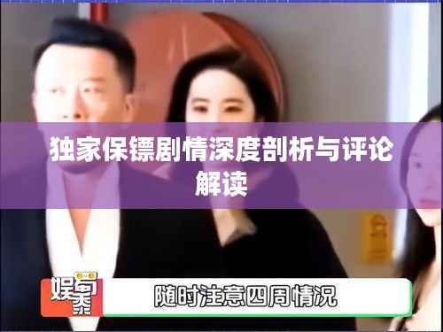 独家保镖剧情深度剖析与评论解读
