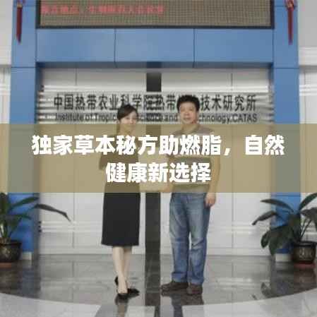 按部就班 第4页