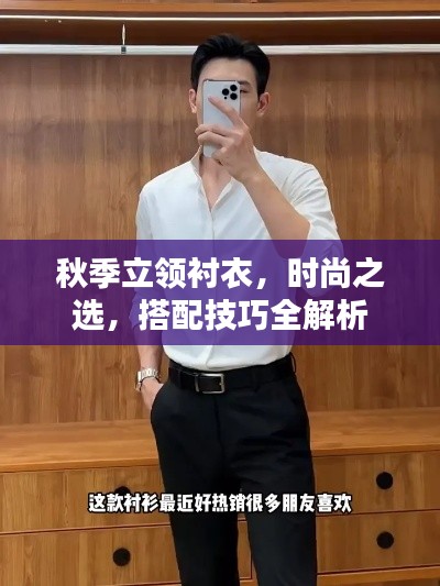 秋季立领衬衣，时尚之选，搭配技巧全解析