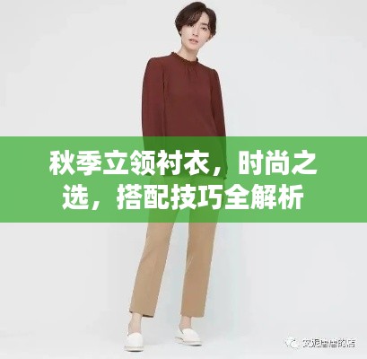 秋季立领衬衣,时尚之选,搭配技巧全解析