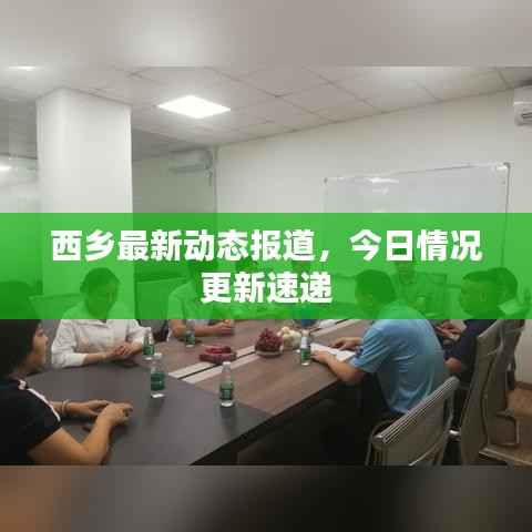 西乡最新动态报道,今日情况更新速递