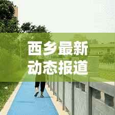 西乡最新动态报道,今日情况更新速递