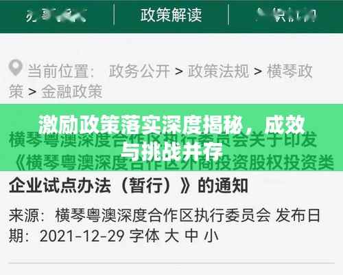 激励政策落实深度揭秘，成效与挑战并存