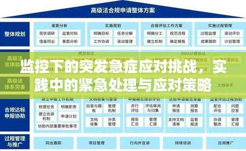监控下的突发急症应对挑战,实践中的紧急处理与应对策略