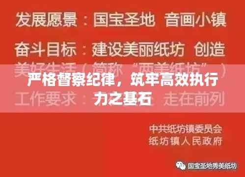 严格督察纪律，筑牢高效执行力之基石