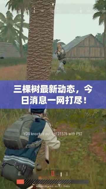 三棵树最新动态，今日消息一网打尽！