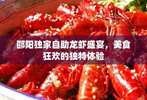 邵阳独家自助龙虾盛宴，美食狂欢的独特体验