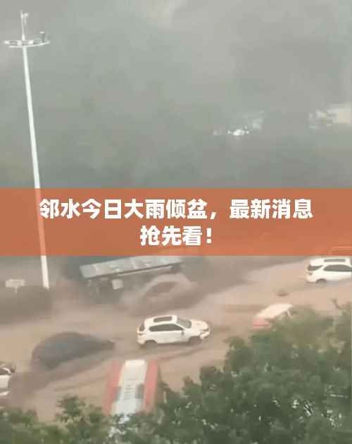 邻水今日大雨倾盆,最新消息抢先看!