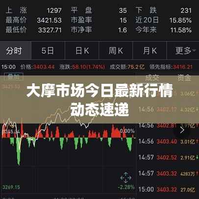 大摩市场今日最新行情动态速递