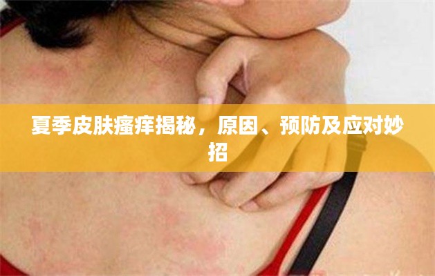 夏季皮肤瘙痒揭秘,原因、预防及应对妙招