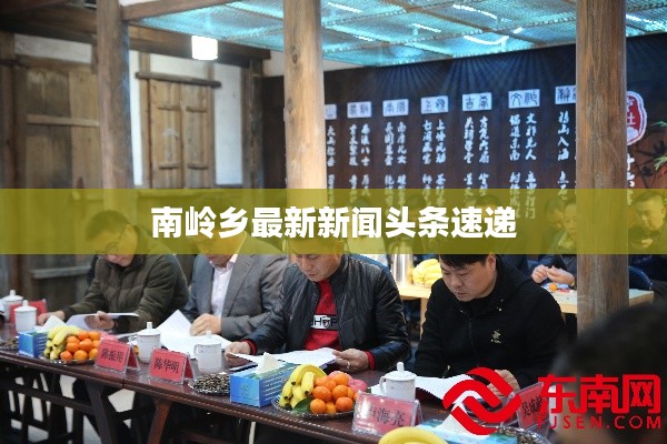 南岭乡最新新闻头条速递