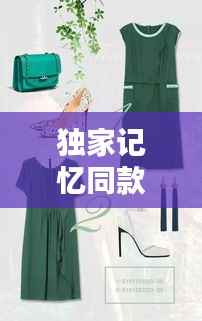 张皇铺饰 第5页