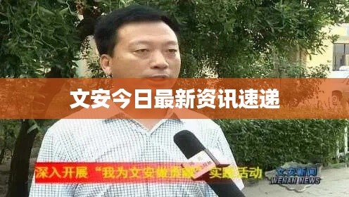 文安今日最新资讯速递