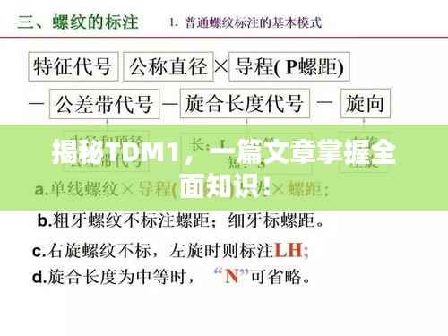 揭秘TDM1，一篇文章掌握全面知识！
