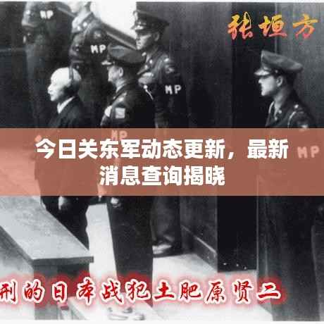 今日关东军动态更新，最新消息查询揭晓