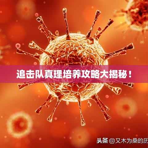 追击队真理培养攻略大揭秘!