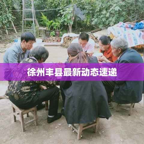 徐州丰县最新动态速递