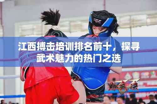 江西搏击培训排名前十，探寻武术魅力的热门之选