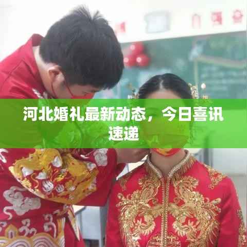 河北婚礼最新动态，今日喜讯速递