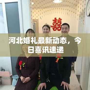 河北婚礼最新动态,今日喜讯速递