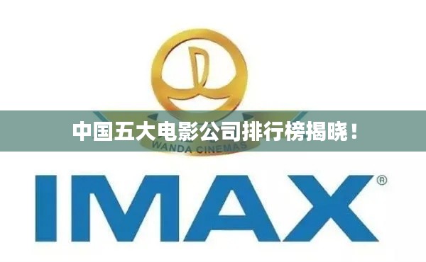 中国五大电影公司排行榜揭晓！
