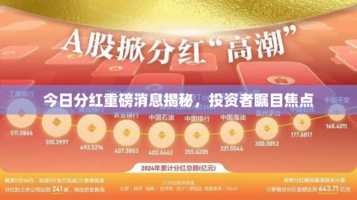 今日分红重磅消息揭秘，投资者瞩目焦点