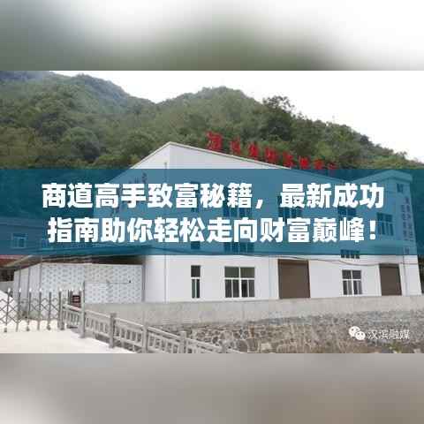 商道高手致富秘籍，最新成功指南助你轻松走向财富巅峰！