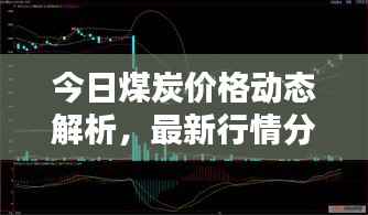 今日煤炭价格动态解析,最新行情分析