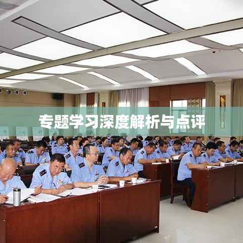 专题学习深度解析与点评
