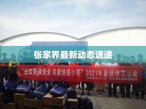 张家界最新动态速递