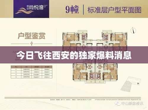 今日飞往西安的独家爆料消息