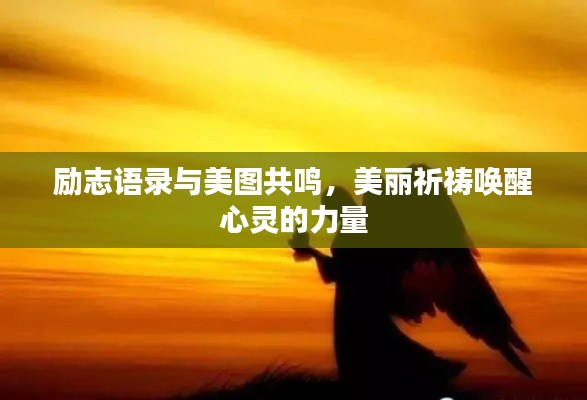 励志语录与美图共鸣，美丽祈祷唤醒心灵的力量