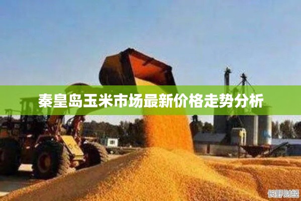 避难就易 第5页