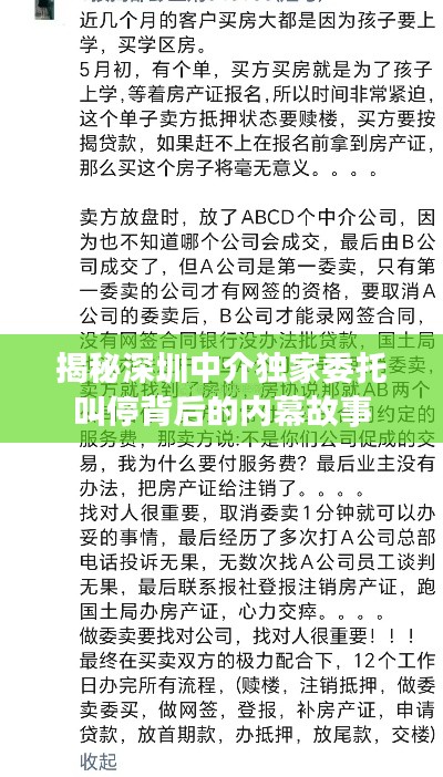 揭秘深圳中介独家委托叫停背后的内幕故事