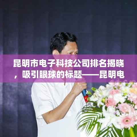 昆明市电子科技公司排名揭晓，吸引眼球的标题——昆明电子科技巨头榜单揭秘，行业领军者排名出炉！