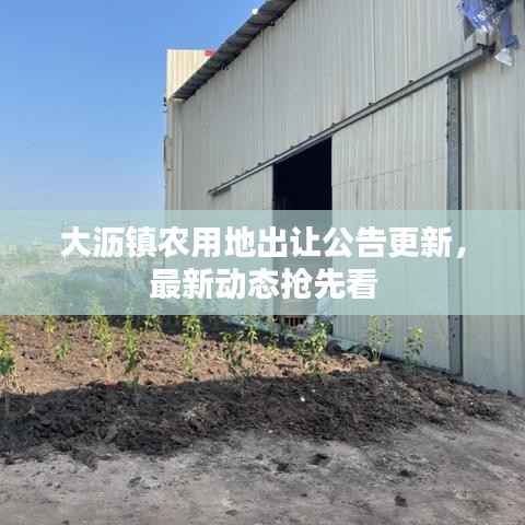 大沥镇农用地出让公告更新,最新动态抢先看