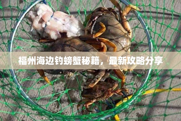 福州海边钓螃蟹秘籍，最新攻略分享